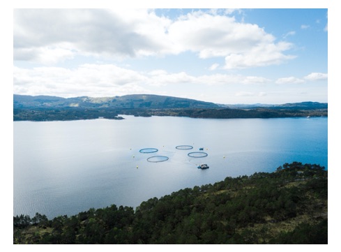 A large body of water
Description automatically generated